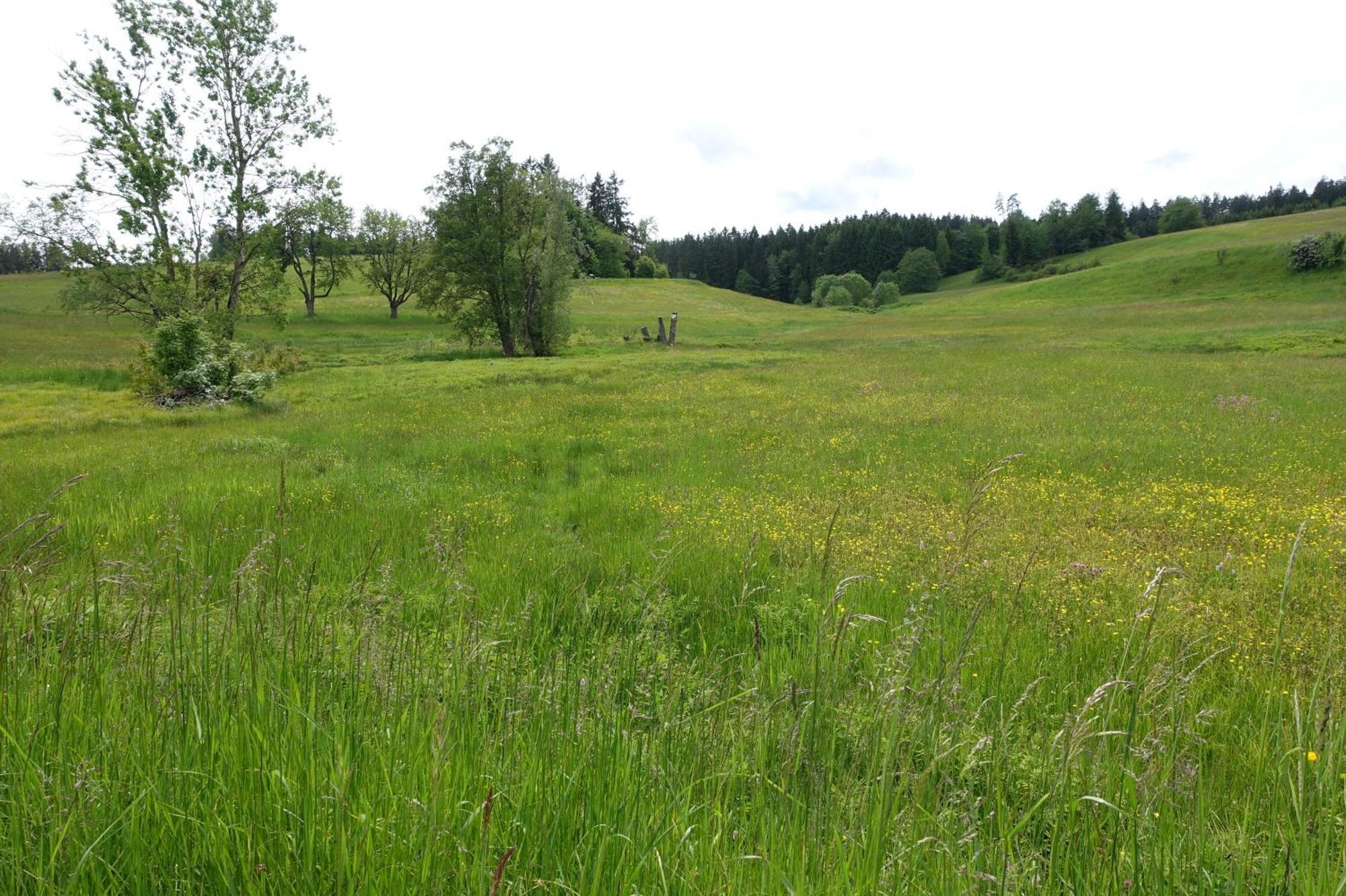 Blick In Den Garten Holzschlag Eksteriør billede