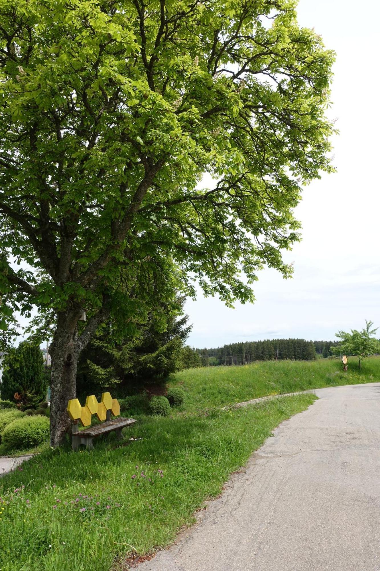 Blick In Den Garten Holzschlag Eksteriør billede